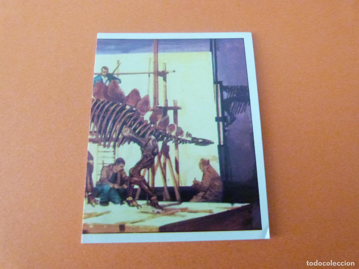 Collezionismo Figurine antiche: CROMO DINOSAURS SIN PEGAR N&ordm; 33 A&Ntilde;O 1992 ALBUM DINOSAURS PANINI