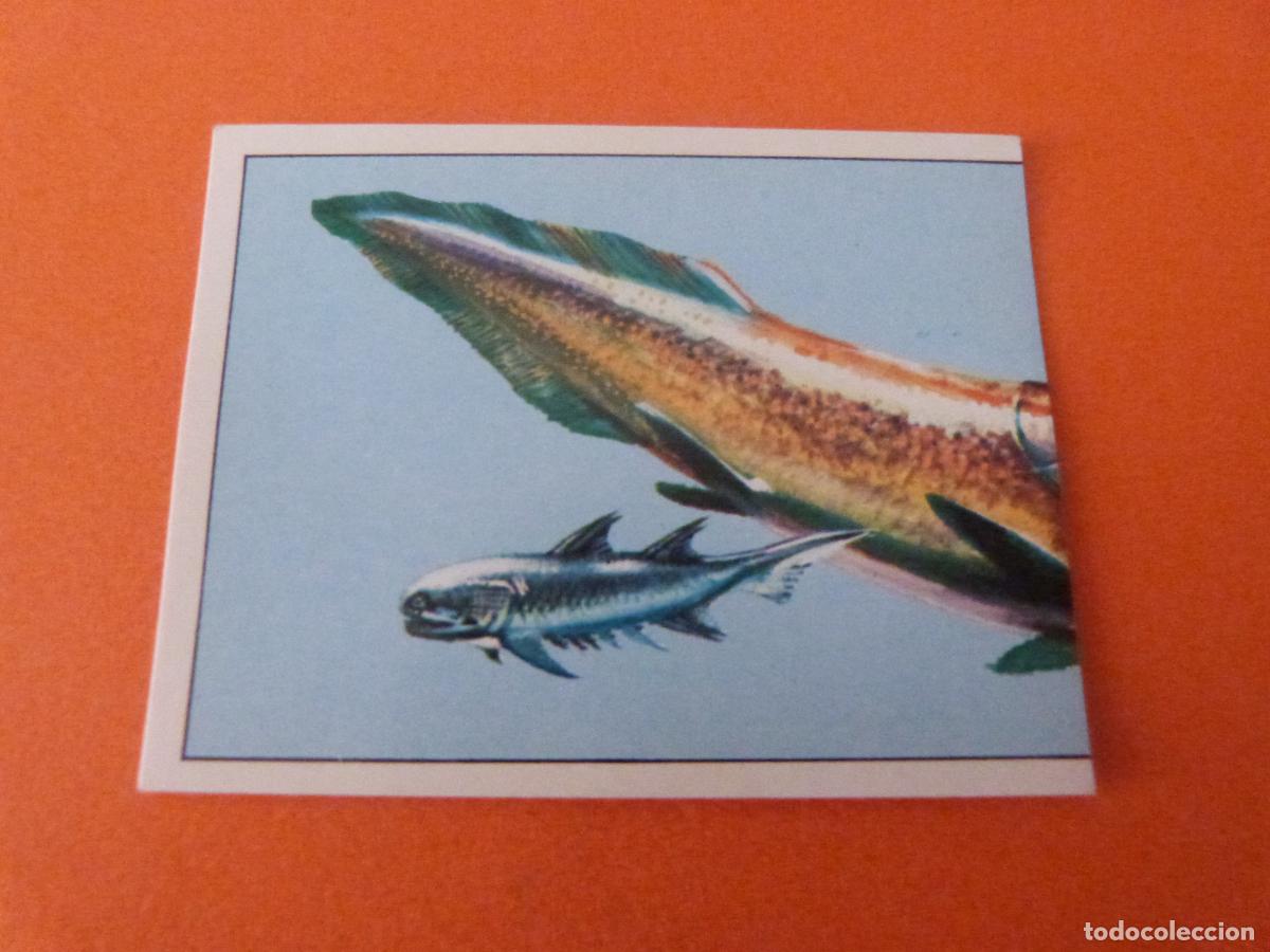 Collezionismo Figurine antiche: CROMO DINOSAURS SIN PEGAR N&ordm; 36 A&Ntilde;O 1992 ALBUM DINOSAURS PANINI