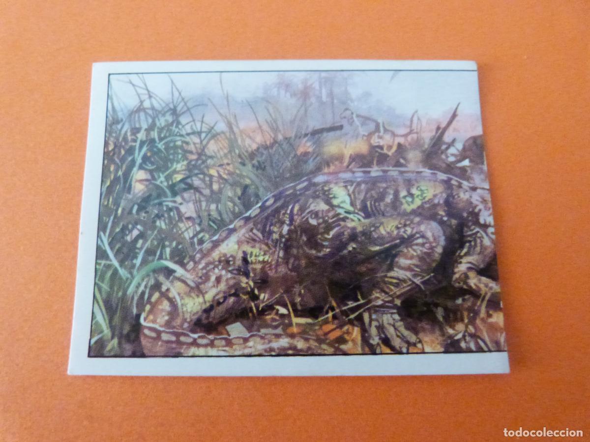 Coleccionismo Cromos antiguos: CROMO DINOSAURS SIN PEGAR N&ordm; 57 A&Ntilde;O 1992 ALBUM DINOSAURS PANINI
