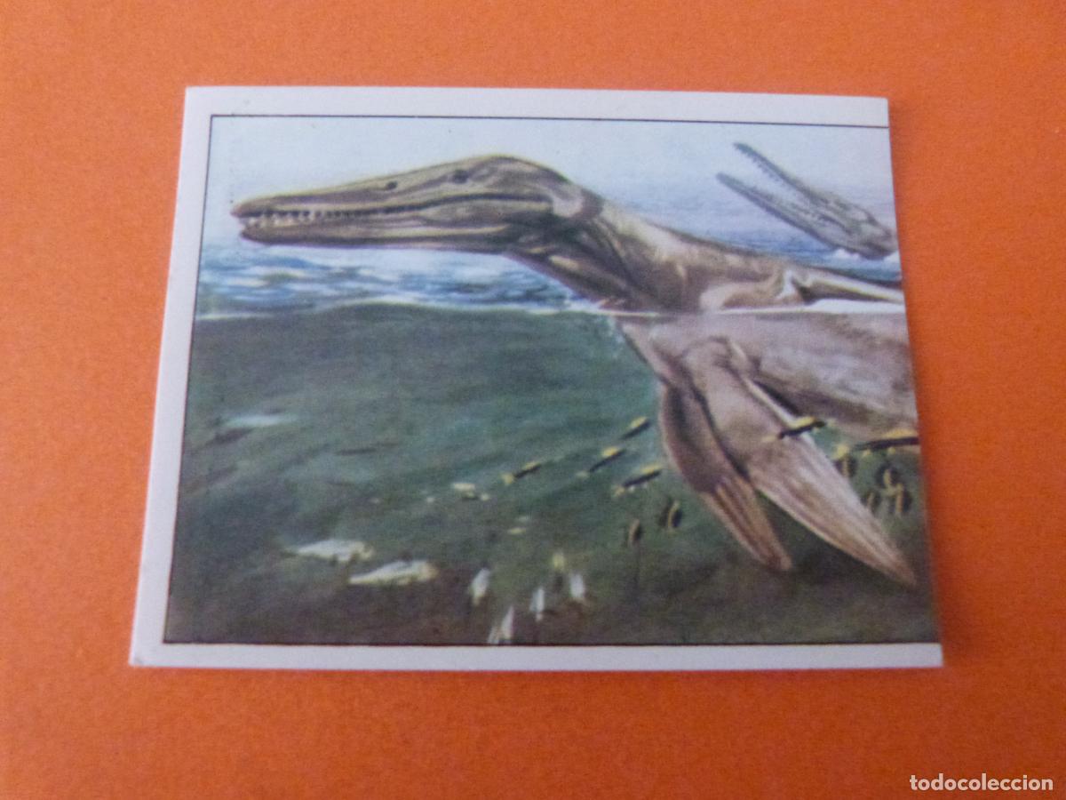 Coleccionismo Cromos antiguos: CROMO DINOSAURS SIN PEGAR N&ordm; 60 A&Ntilde;O 1992 ALBUM DINOSAURS PANINI