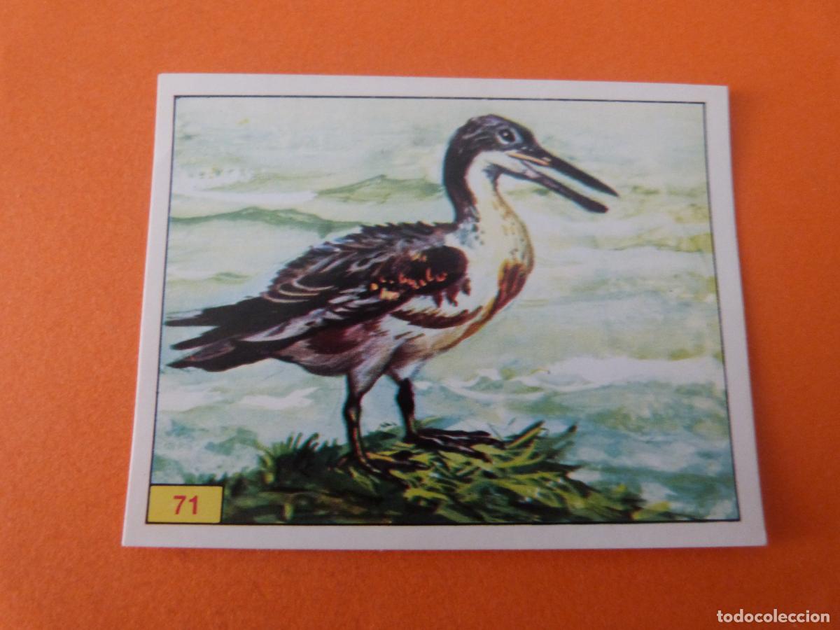 Coleccionismo Cromos antiguos: CROMO DINOSAURS SIN PEGAR N&ordm; 71 A&Ntilde;O 1992 ALBUM DINOSAURS PANINI