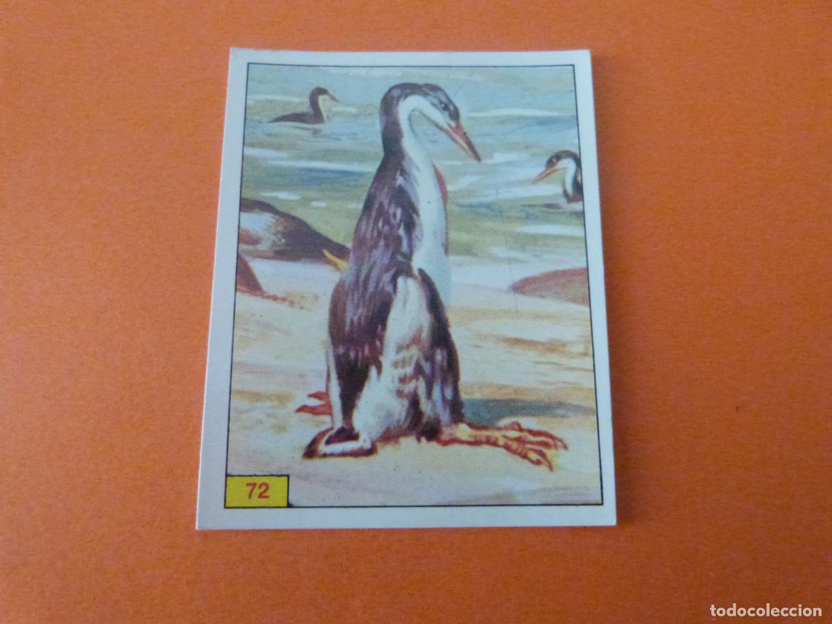 Coleccionismo Cromos antiguos: CROMO DINOSAURS SIN PEGAR N&ordm; 72 A&Ntilde;O 1992 ALBUM DINOSAURS PANINI