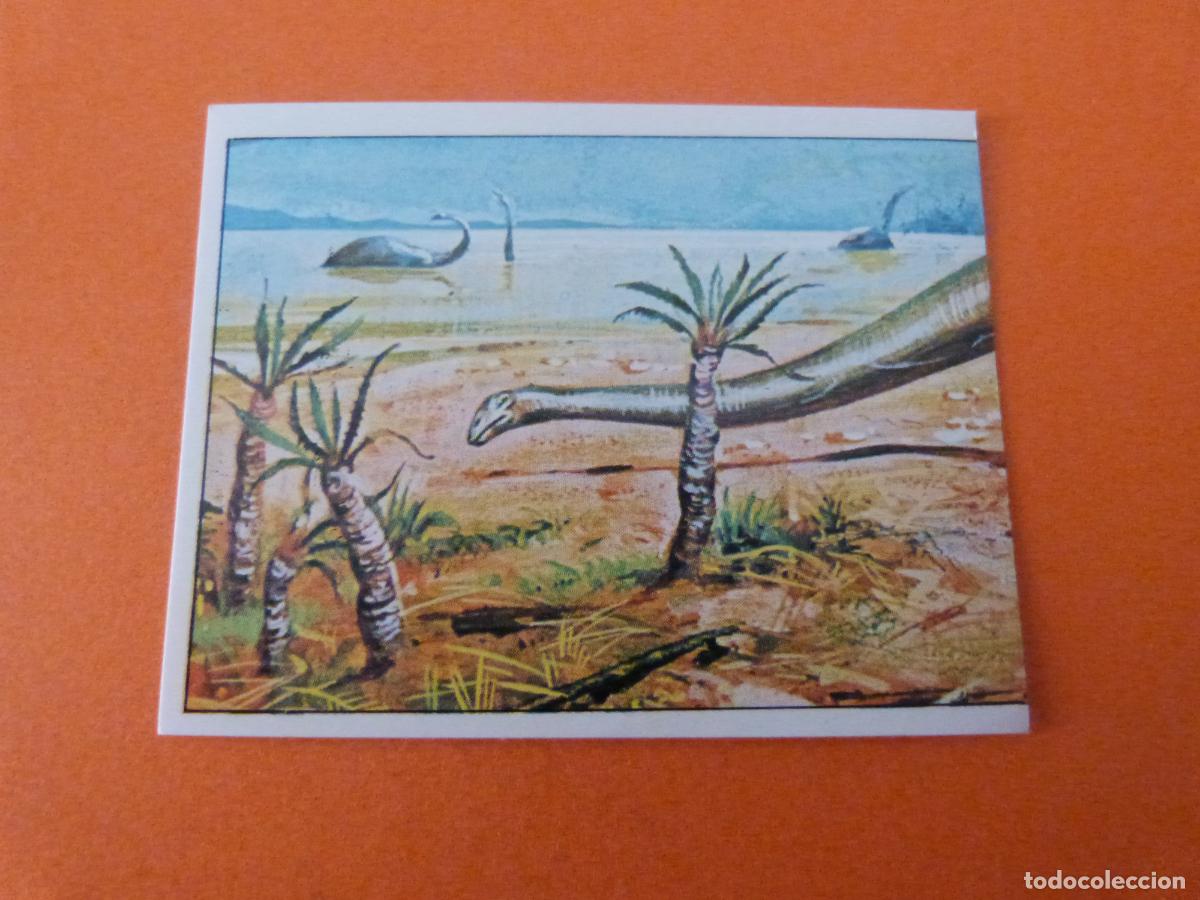 Coleccionismo Cromos antiguos: CROMO DINOSAURS SIN PEGAR N&ordm; 77 A&Ntilde;O 1992 ALBUM DINOSAURS PANINI