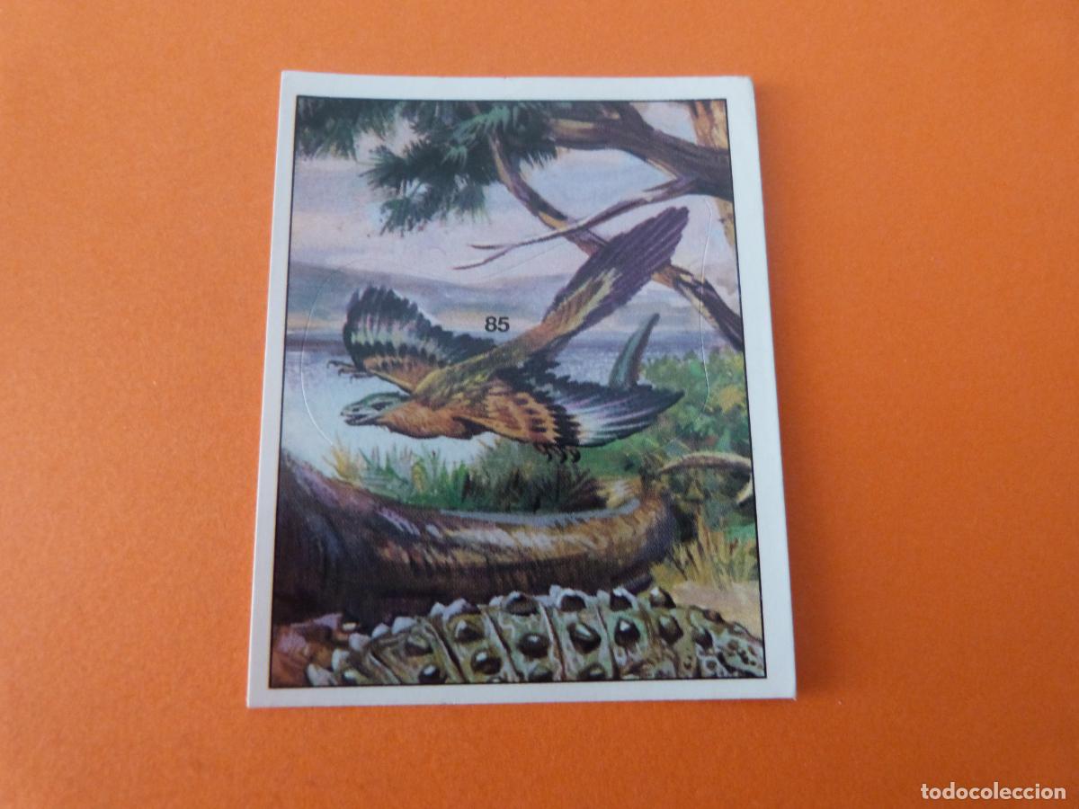 Coleccionismo Cromos antiguos: CROMO DINOSAURS SIN PEGAR N&ordm; 85 A&Ntilde;O 1992 ALBUM DINOSAURS PANINI