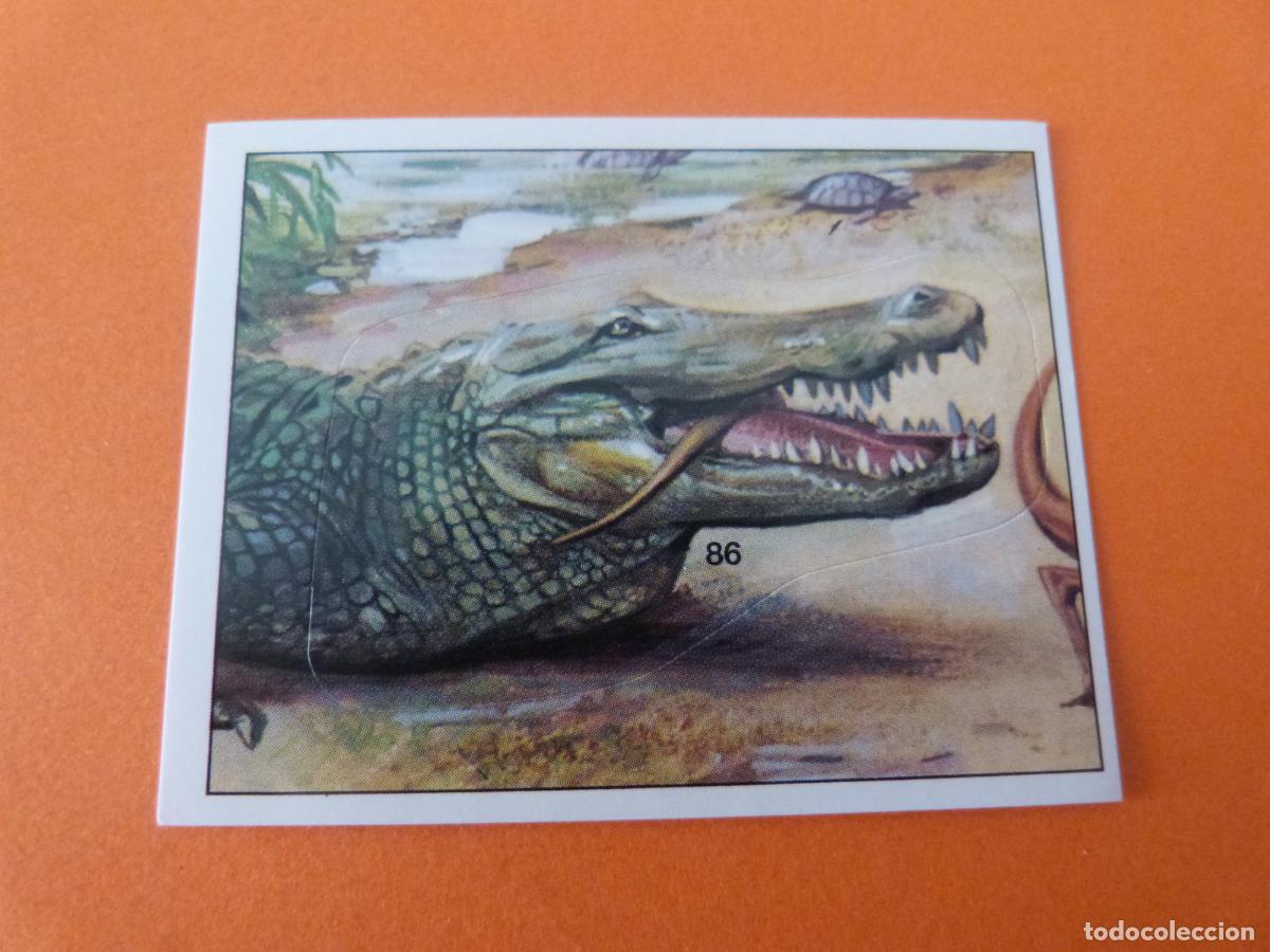 Coleccionismo Cromos antiguos: CROMO DINOSAURS SIN PEGAR N&ordm; 86 A&Ntilde;O 1992 ALBUM DINOSAURS PANINI