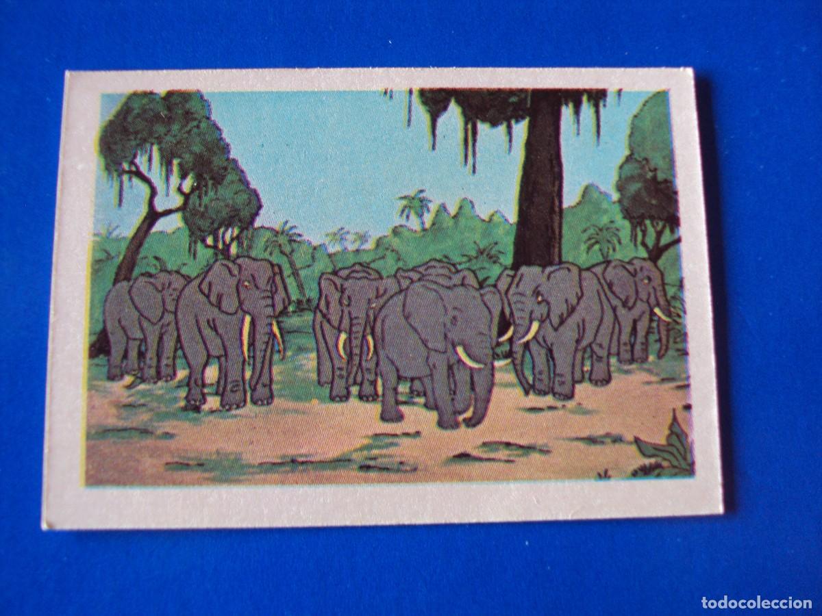 Coleccionismo Cromos antiguos: CROMO N&Uacute;MERO 100 TARZAN EDITORIAL FHER 1979 NUNCA PEGADO SIN PEGAR