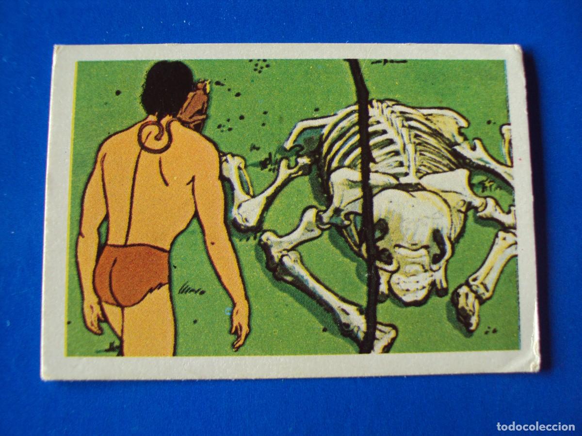 Coleccionismo Cromos antiguos: CROMO N&Uacute;MERO 109 TARZAN EDITORIAL FHER 1979 NUNCA PEGADO SIN PEGAR