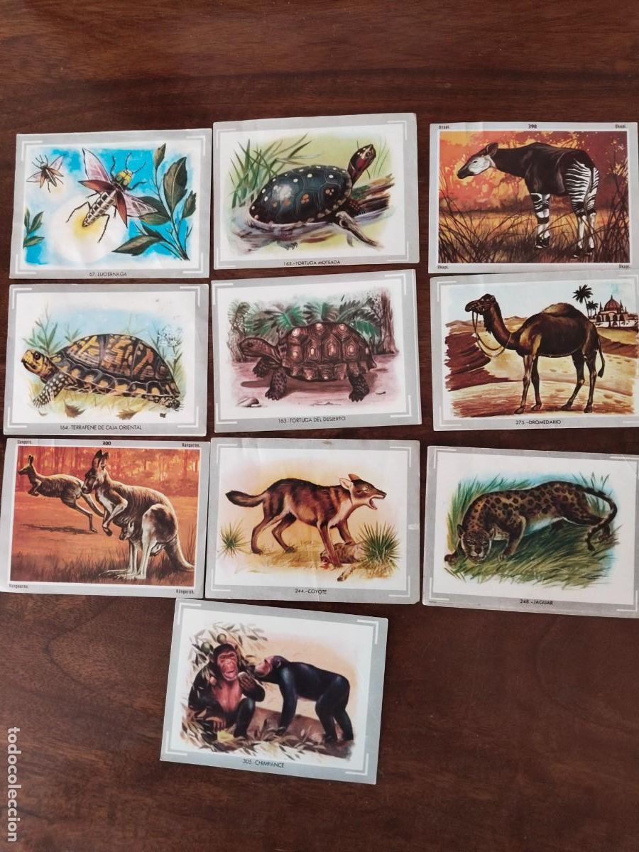 Coleccionismo cromos antiguos: 44 Cromos de Vida y Color. - Foto 4
