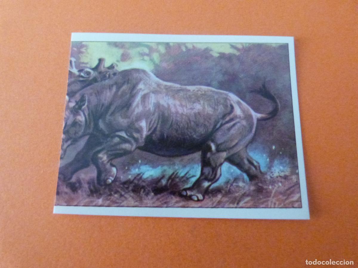 Collezionismo Figurine antiche: CROMO DINOSAURS SIN PEGAR N&ordm; 117 A&Ntilde;O 1992 ALBUM DINOSAURS PANINI