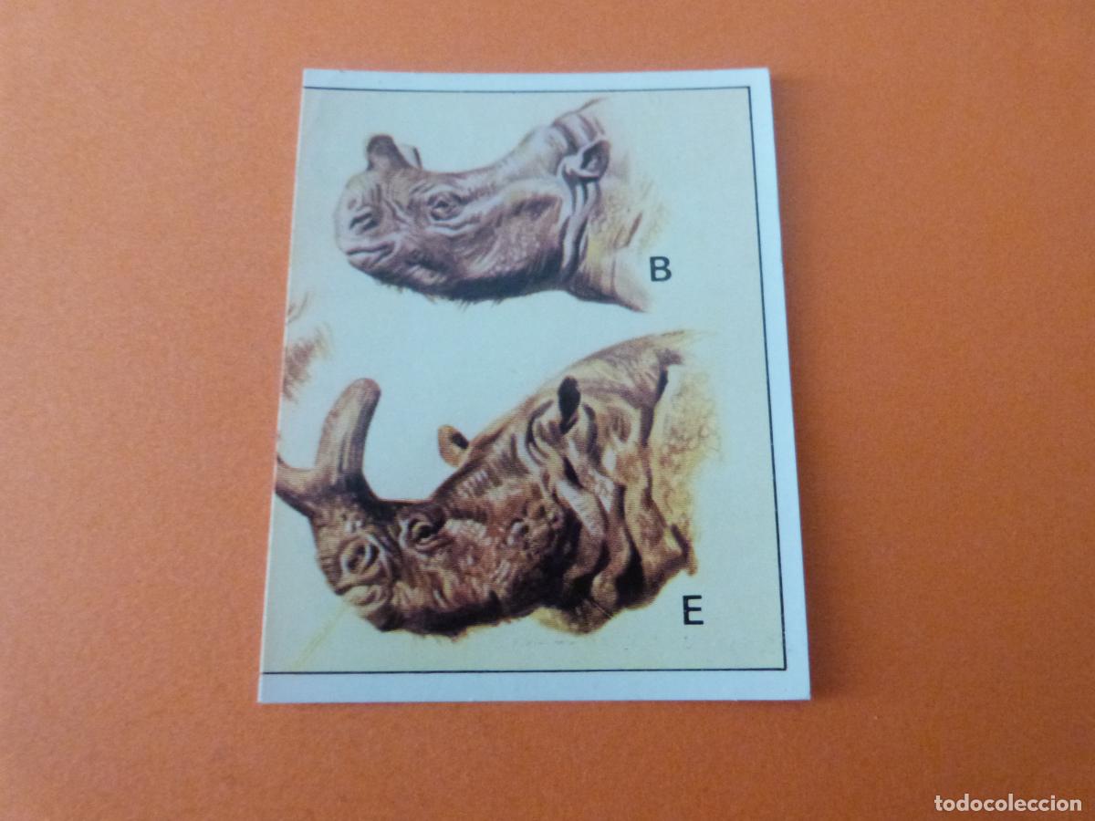 Collezionismo Figurine antiche: CROMO DINOSAURS SIN PEGAR N&ordm; 119 A&Ntilde;O 1992 ALBUM DINOSAURS PANINI