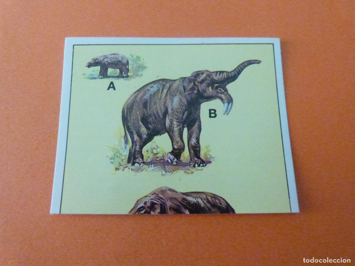 Collezionismo Figurine antiche: CROMO DINOSAURS SIN PEGAR N&ordm; 124 A&Ntilde;O 1992 ALBUM DINOSAURS PANINI