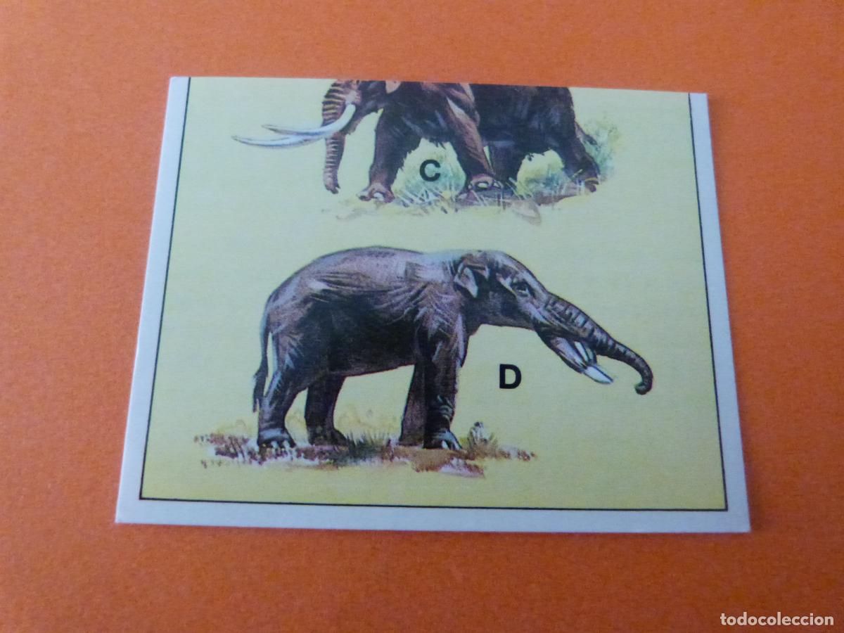Collezionismo Figurine antiche: CROMO DINOSAURS SIN PEGAR N&ordm; 125 A&Ntilde;O 1992 ALBUM DINOSAURS PANINI