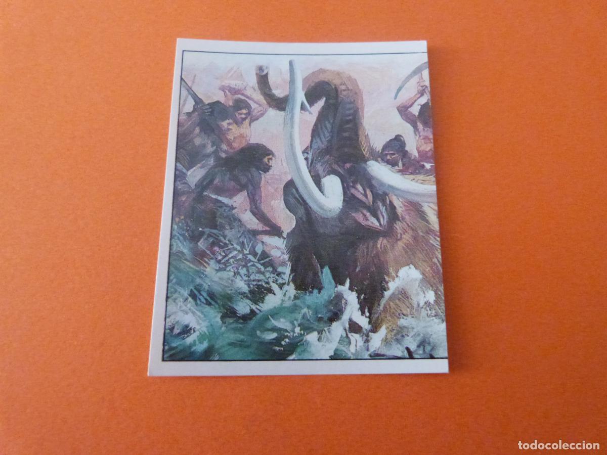 Collezionismo Figurine antiche: CROMO DINOSAURS SIN PEGAR N&ordm; 126 A&Ntilde;O 1992 ALBUM DINOSAURS PANINI