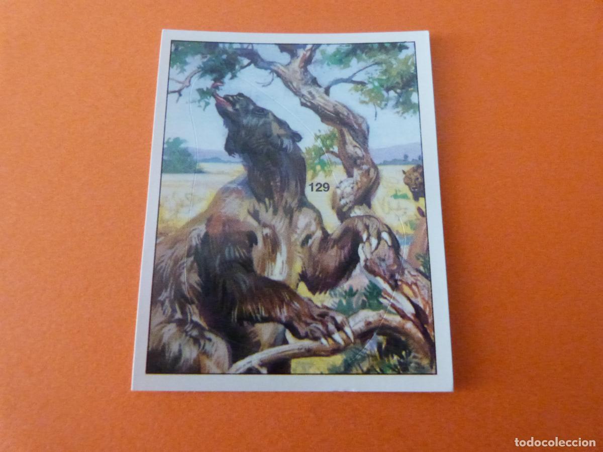 Collezionismo Figurine antiche: CROMO DINOSAURS SIN PEGAR N&ordm; 129 A&Ntilde;O 1992 ALBUM DINOSAURS PANINI