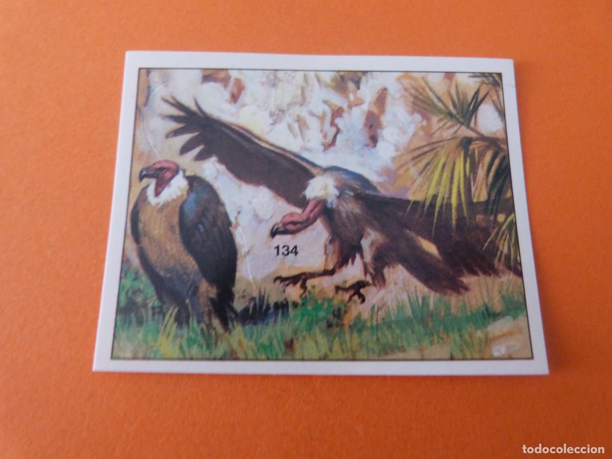 Sammeln alte Sammelbilder: CROMO DINOSAURS SIN PEGAR N&ordm; 134 A&Ntilde;O 1992 ALBUM DINOSAURS PANINI
