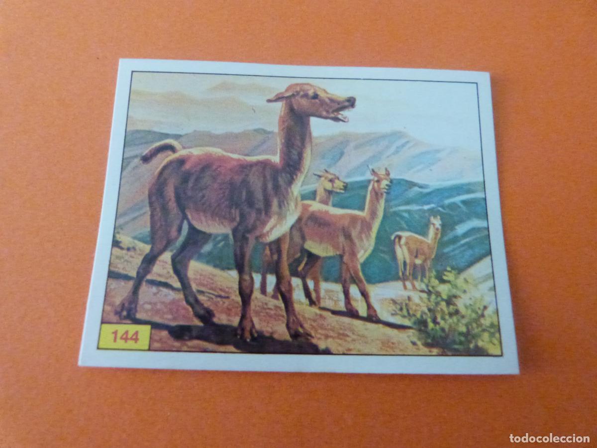 Sammeln alte Sammelbilder: CROMO DINOSAURS SIN PEGAR N&ordm; 144 A&Ntilde;O 1992 ALBUM DINOSAURS PANINI