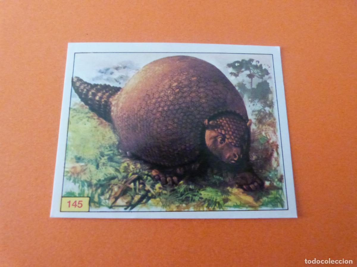 Sammeln alte Sammelbilder: CROMO DINOSAURS SIN PEGAR N&ordm; 145 A&Ntilde;O 1992 ALBUM DINOSAURS PANINI