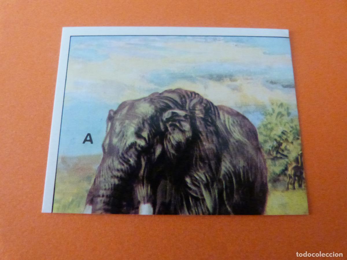 Sammeln alte Sammelbilder: CROMO DINOSAURS SIN PEGAR N&ordm; 146 A&Ntilde;O 1992 ALBUM DINOSAURS PANINI