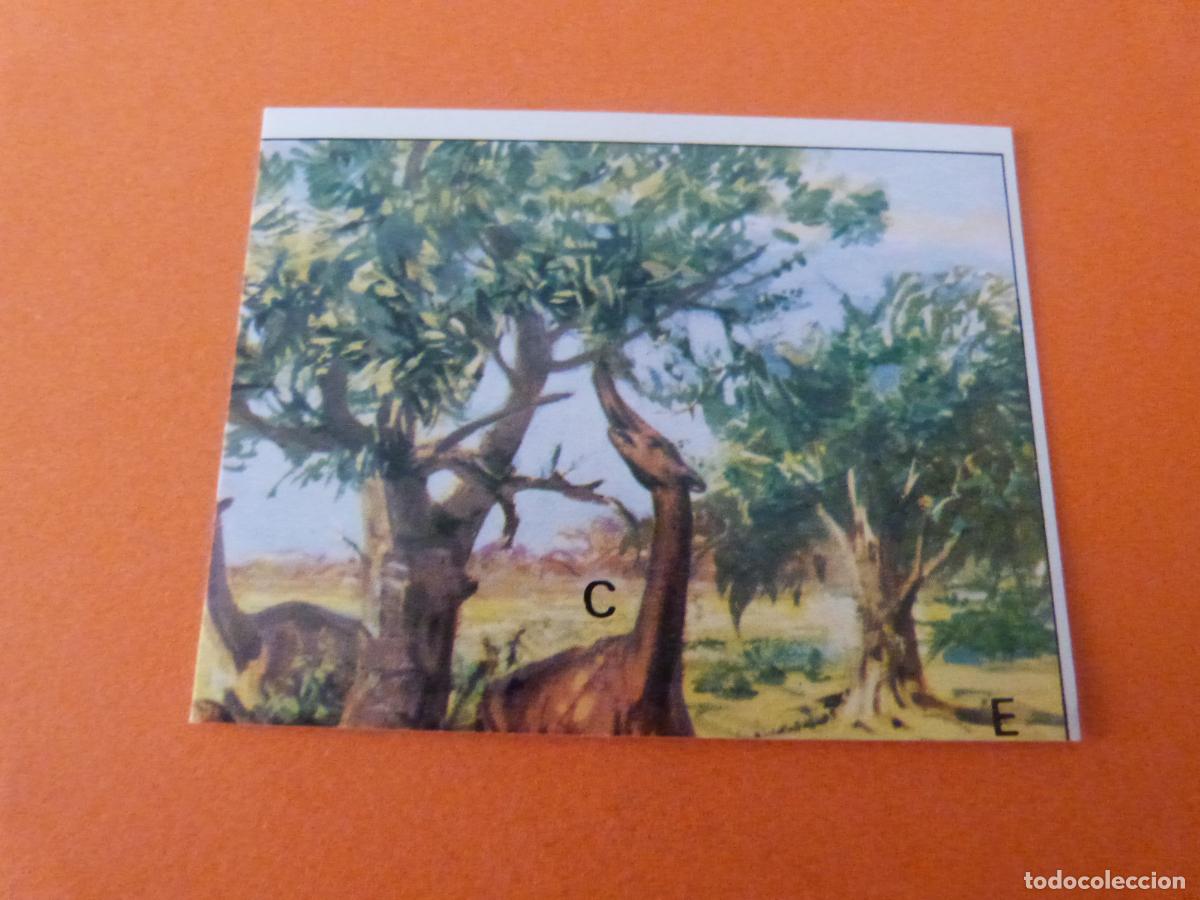 Sammeln alte Sammelbilder: CROMO DINOSAURS SIN PEGAR N&ordm; 148 A&Ntilde;O 1992 ALBUM DINOSAURS PANINI
