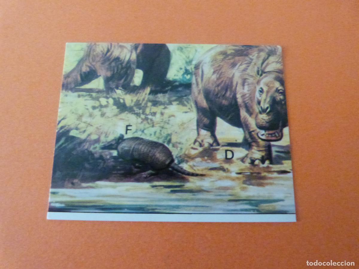 Sammeln alte Sammelbilder: CROMO DINOSAURS SIN PEGAR N&ordm; 150 A&Ntilde;O 1992 ALBUM DINOSAURS PANINI