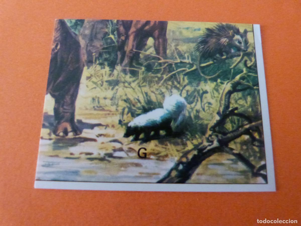 Sammeln alte Sammelbilder: CROMO DINOSAURS SIN PEGAR N&ordm; 151 A&Ntilde;O 1992 ALBUM DINOSAURS PANINI