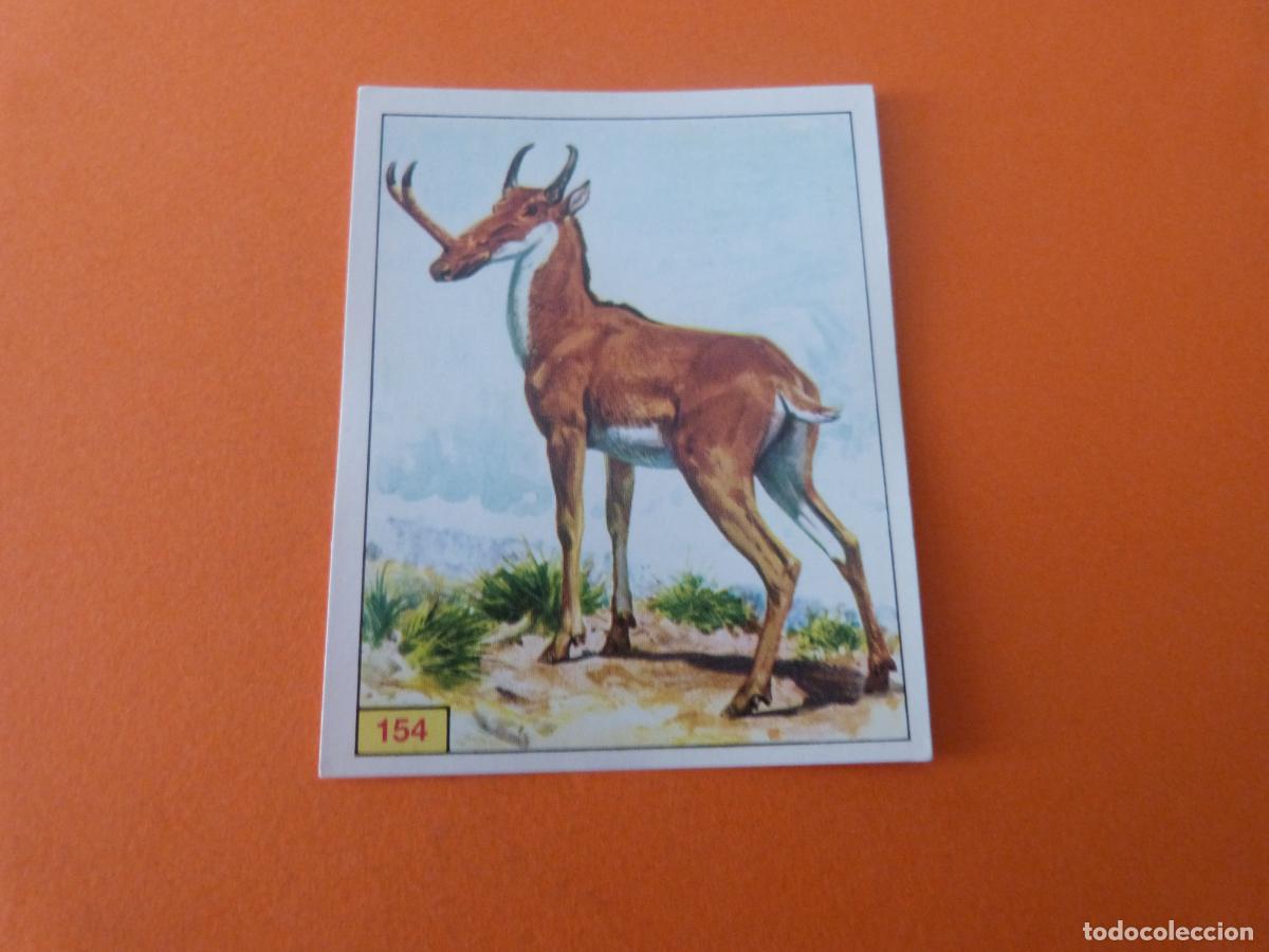 Collectionnisme Cartes &agrave; collectionner anciennes: CROMO DINOSAURS SIN PEGAR N&ordm; 154 A&Ntilde;O 1992 ALBUM DINOSAURS PANINI