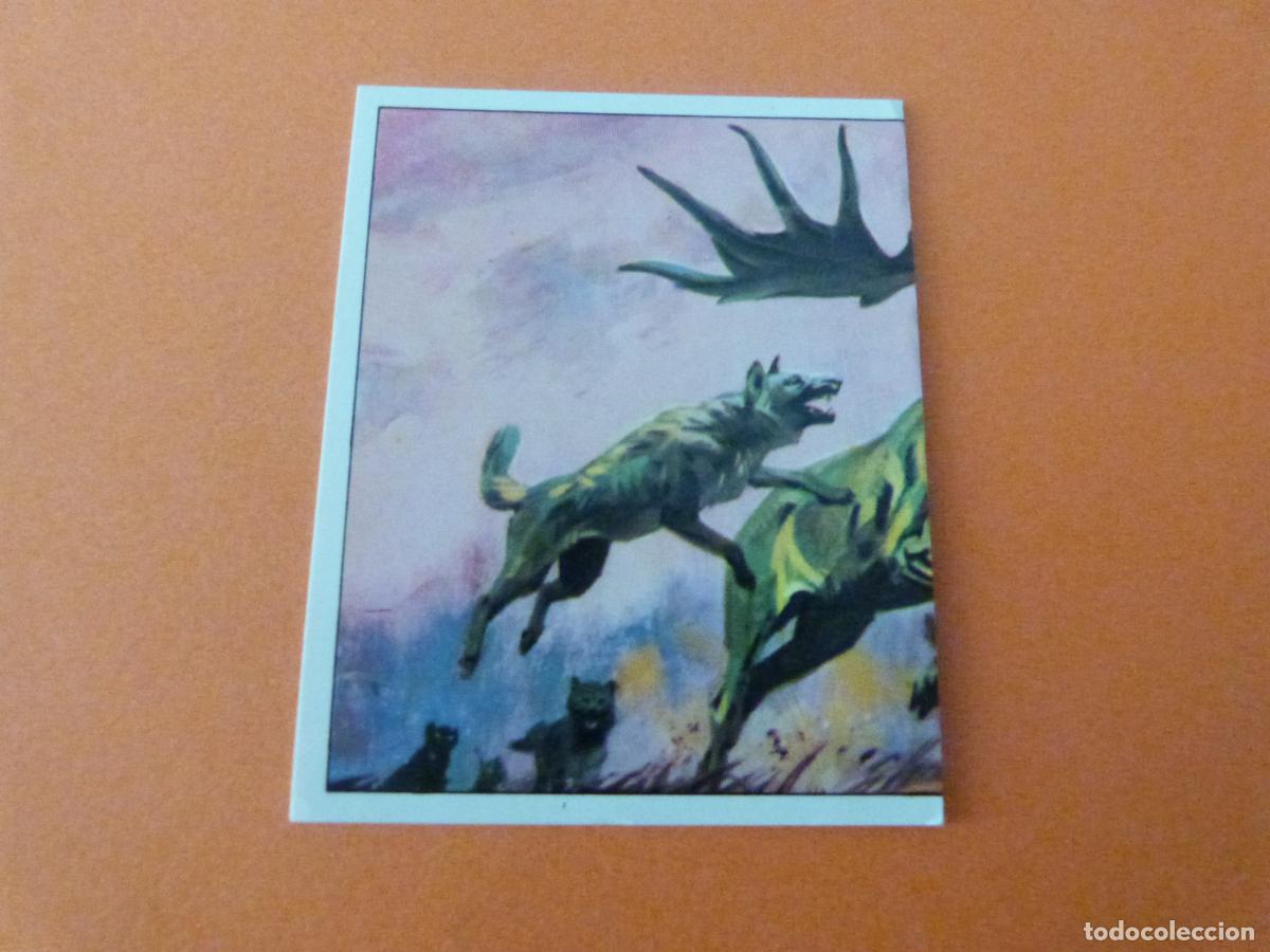Collectionnisme Cartes &agrave; collectionner anciennes: CROMO DINOSAURS SIN PEGAR N&ordm; 156 A&Ntilde;O 1992 ALBUM DINOSAURS PANINI