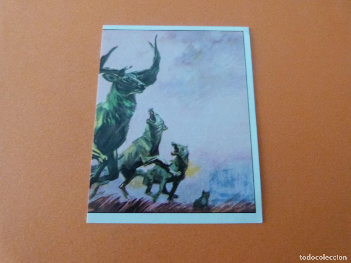 Collectionnisme Cartes &agrave; collectionner anciennes: CROMO DINOSAURS SIN PEGAR N&ordm; 157 A&Ntilde;O 1992 ALBUM DINOSAURS PANINI