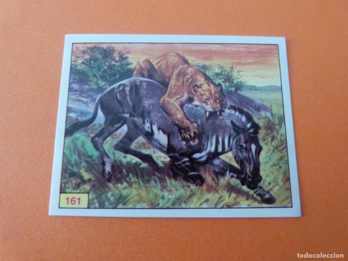 Sammeln alte Sammelbilder: CROMO DINOSAURS SIN PEGAR N&ordm; 161 A&Ntilde;O 1992 ALBUM DINOSAURS PANINI