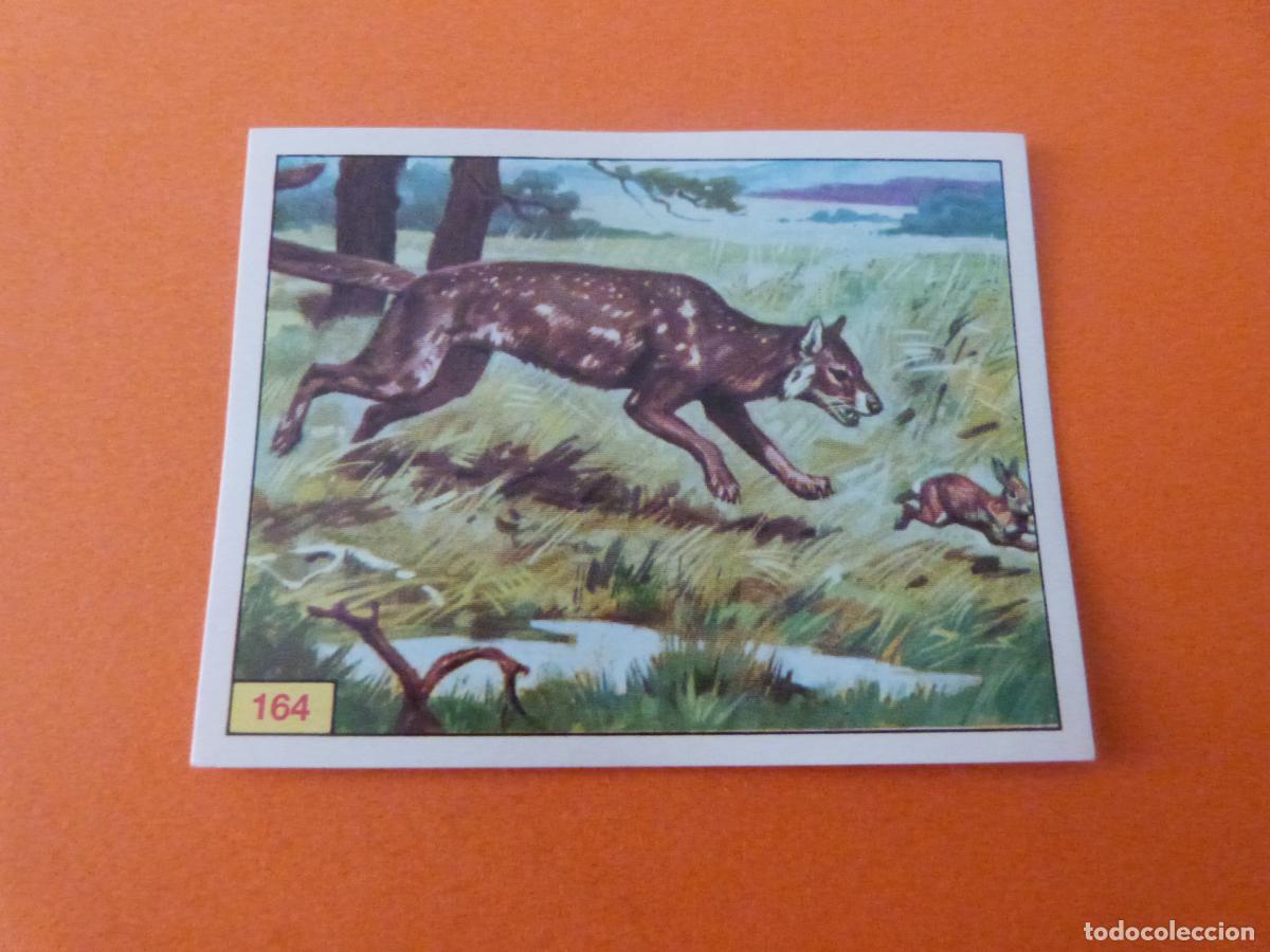 Sammeln alte Sammelbilder: CROMO DINOSAURS SIN PEGAR N&ordm; 164 A&Ntilde;O 1992 ALBUM DINOSAURS PANINI