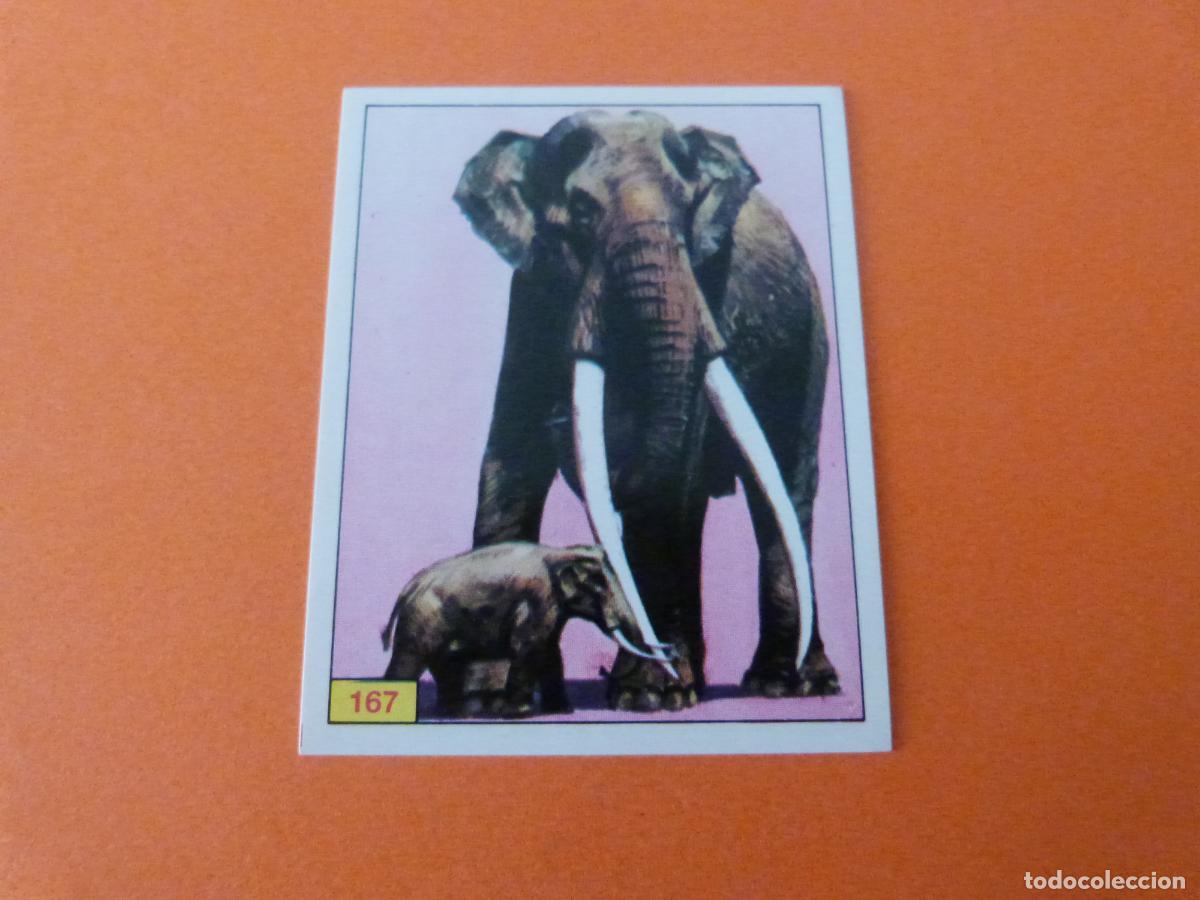 Sammeln alte Sammelbilder: CROMO DINOSAURS SIN PEGAR N&ordm; 167 A&Ntilde;O 1992 ALBUM DINOSAURS PANINI