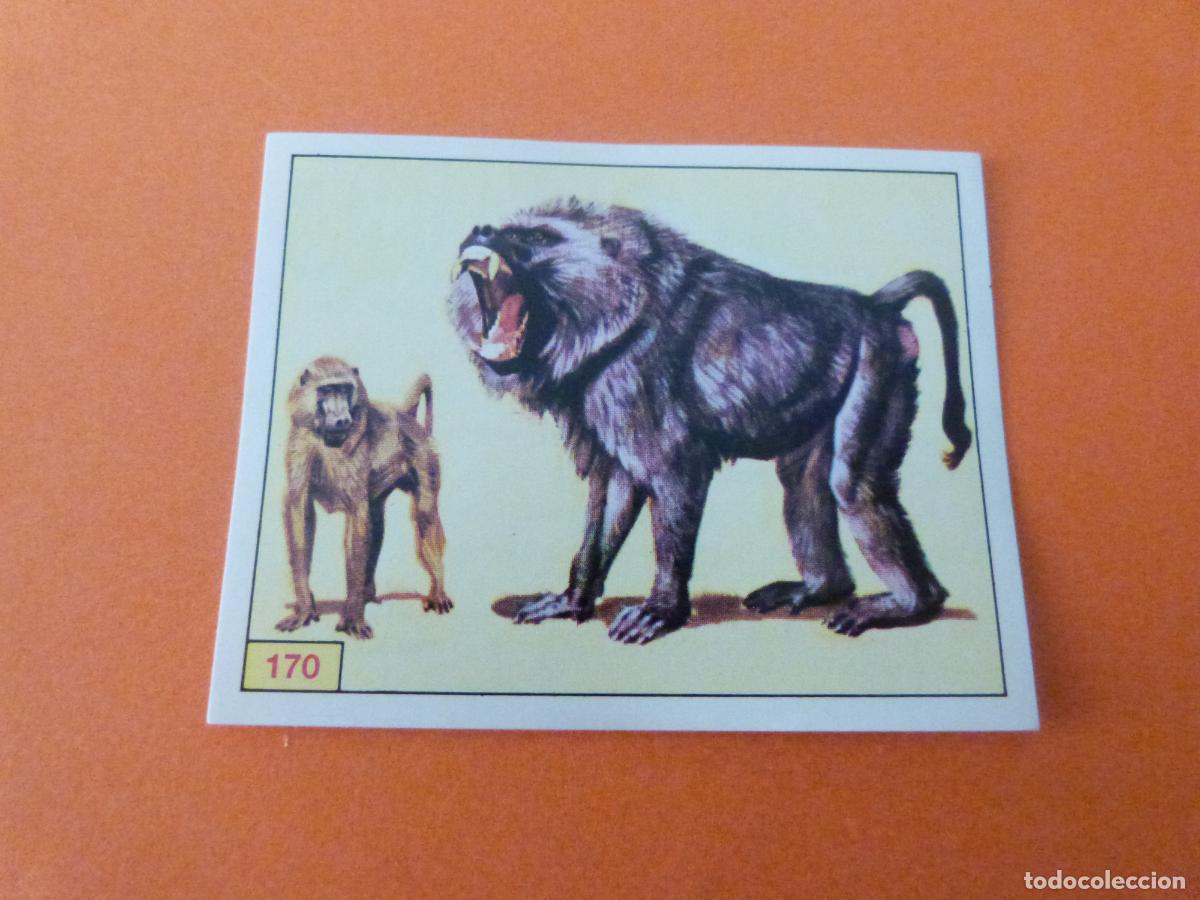 Coleccionismo Cromos antiguos: CROMO DINOSAURS SIN PEGAR N&ordm; 170 A&Ntilde;O 1992 ALBUM DINOSAURS PANINI