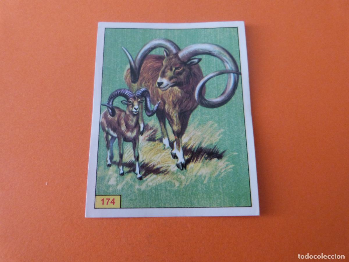 Coleccionismo Cromos antiguos: CROMO DINOSAURS SIN PEGAR N&ordm; 174 A&Ntilde;O 1992 ALBUM DINOSAURS PANINI