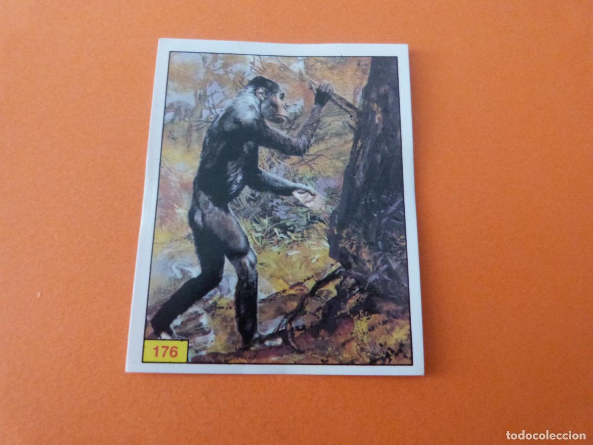 Coleccionismo Cromos antiguos: CROMO DINOSAURS SIN PEGAR N&ordm; 176 A&Ntilde;O 1992 ALBUM DINOSAURS PANINI