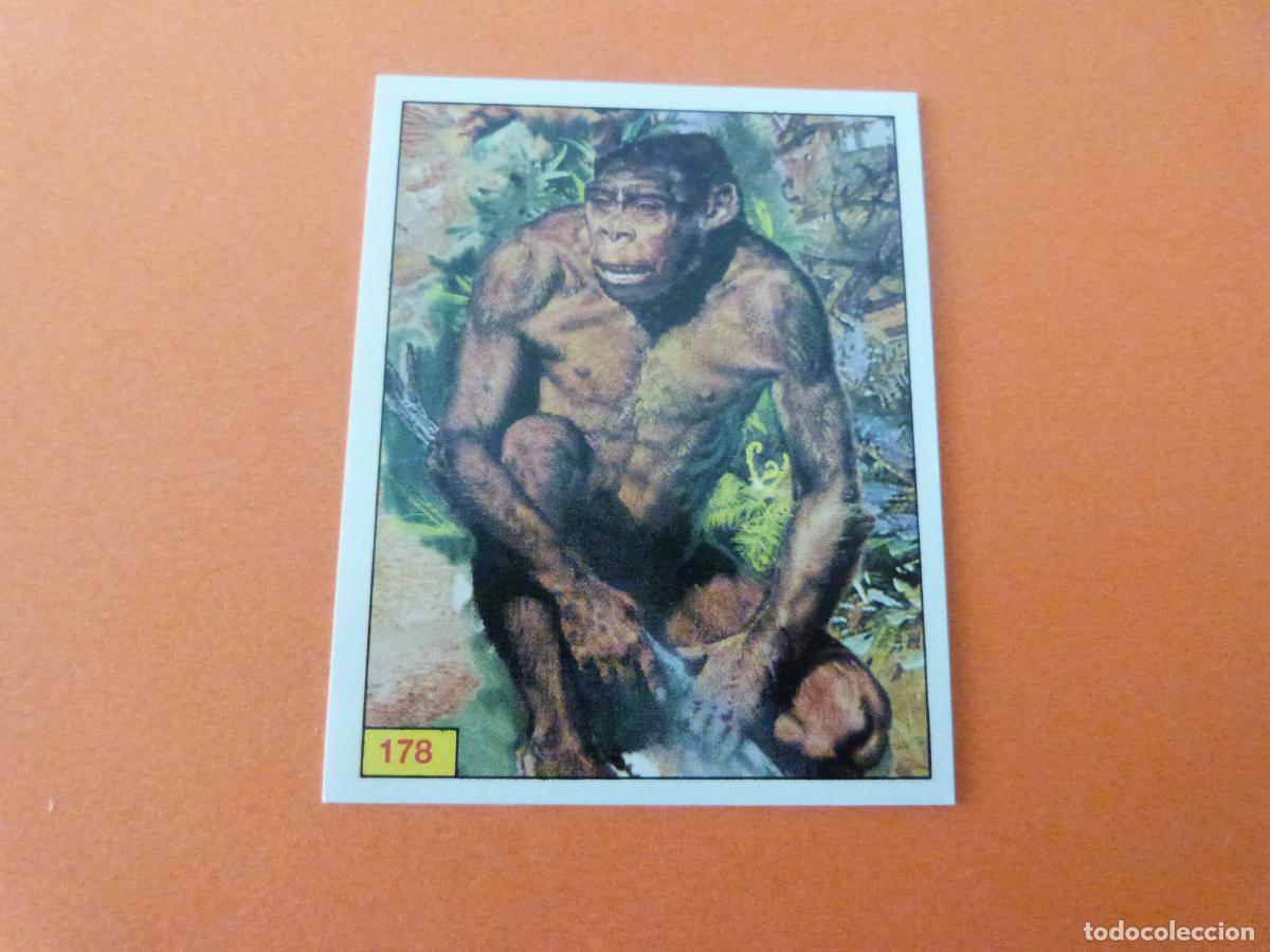 Coleccionismo Cromos antiguos: CROMO DINOSAURS SIN PEGAR N&ordm; 178 A&Ntilde;O 1992 ALBUM DINOSAURS PANINI