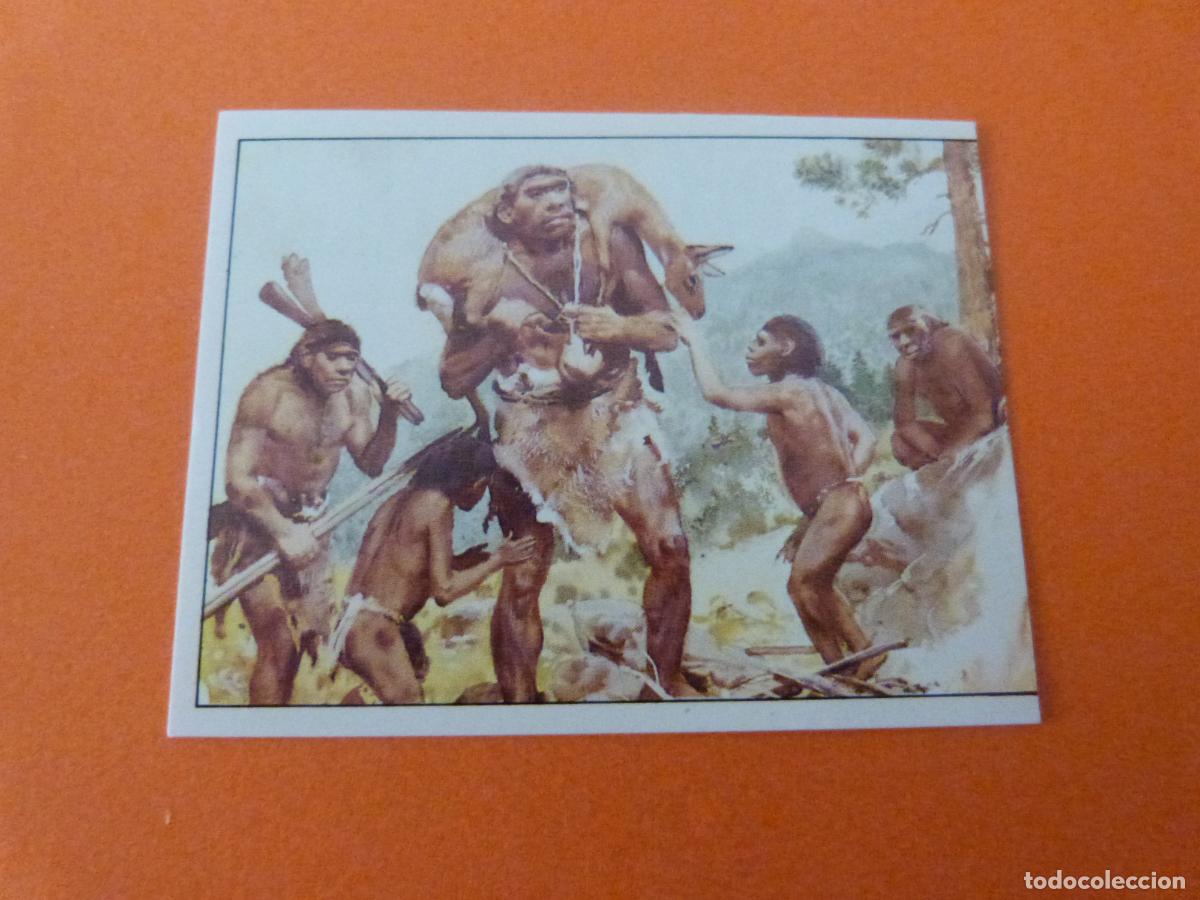 Coleccionismo Cromos antiguos: CROMO DINOSAURS SIN PEGAR N&ordm; 179 A&Ntilde;O 1992 ALBUM DINOSAURS PANINI