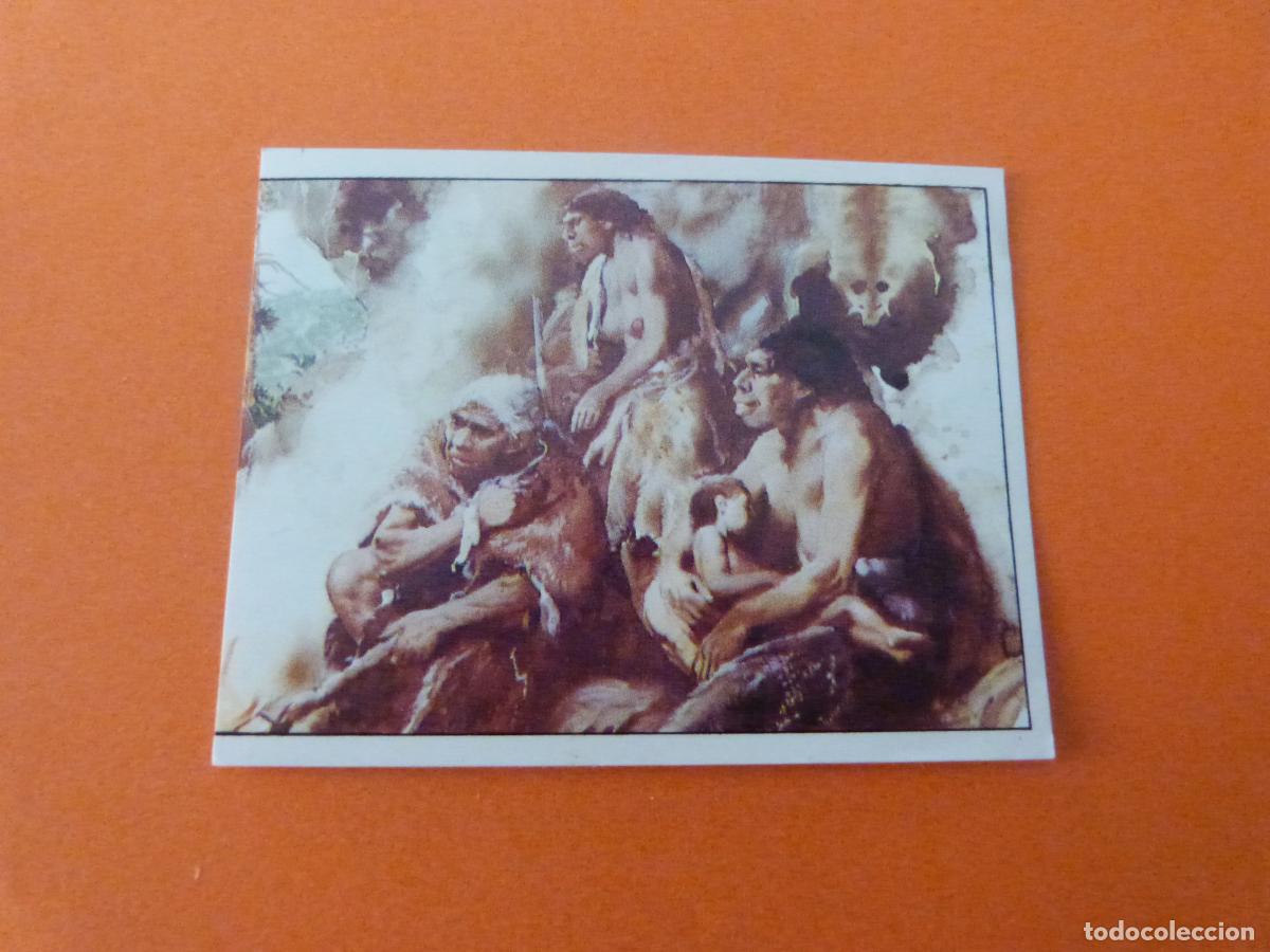 Coleccionismo Cromos antiguos: CROMO DINOSAURS SIN PEGAR N&ordm; 180 A&Ntilde;O 1992 ALBUM DINOSAURS PANINI
