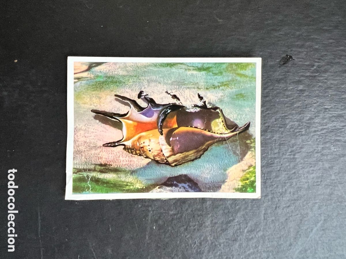Coleccionismo Cromos antiguos: EL MAR FUENTE DE VIDA. N&ordm; 74 EDITORIAL RUIZ ROMERO 1973