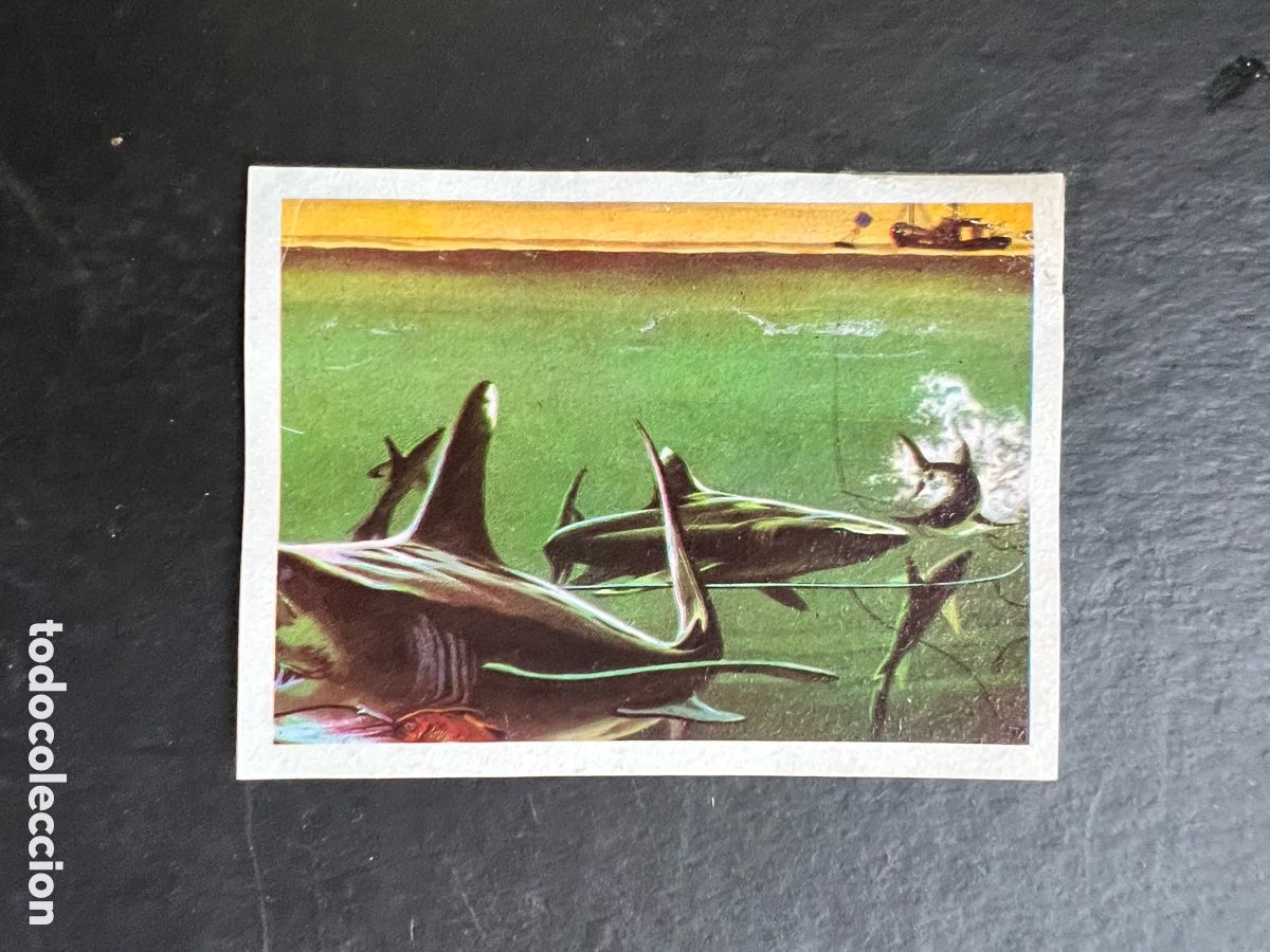 Coleccionismo Cromos antiguos: EL MAR FUENTE DE VIDA. N&ordm; 105 EDITORIAL RUIZ ROMERO 1973