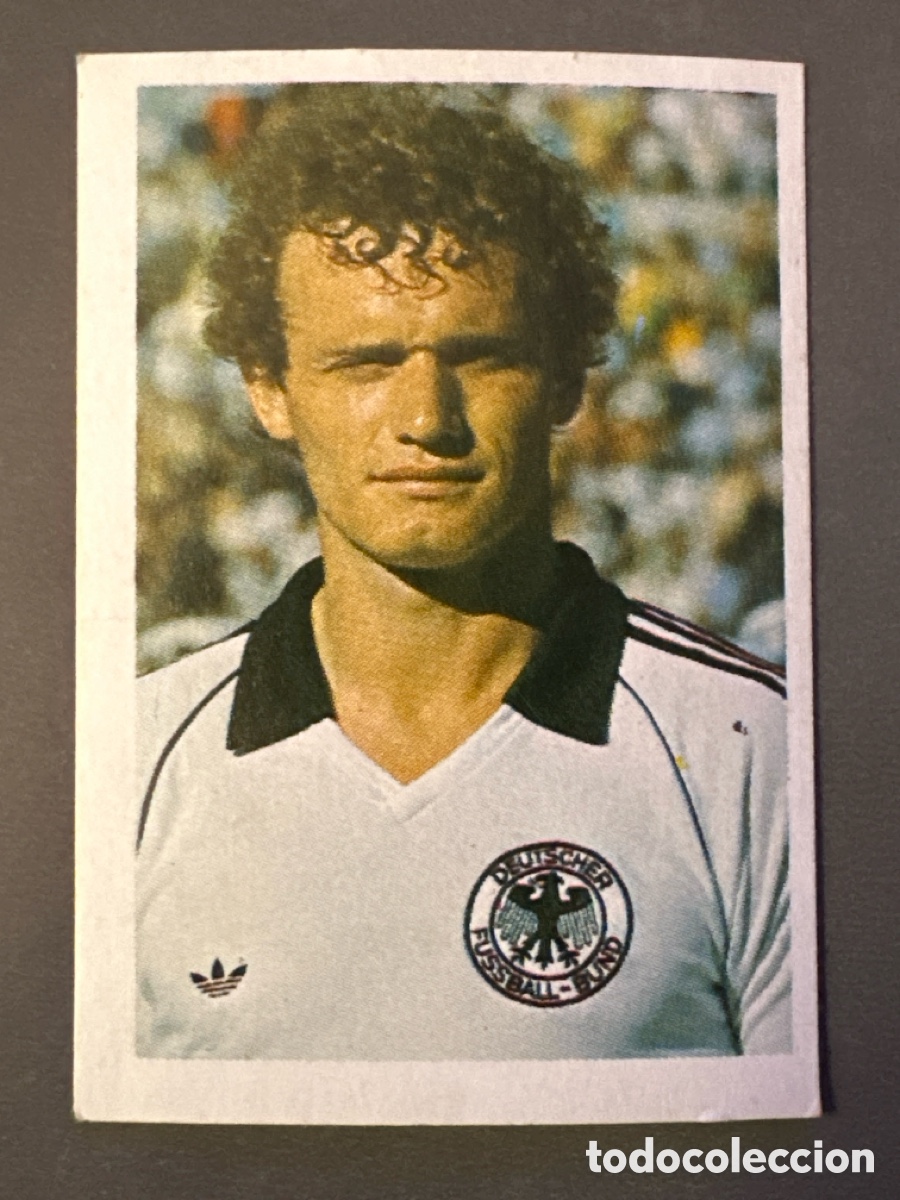 Coleccionismo Cromos antiguos: CROMO EUROCOPA 1984 FANS BRIEGEL N&Uacute;M 5. SIN PEGAR NUNCA PEGADO
