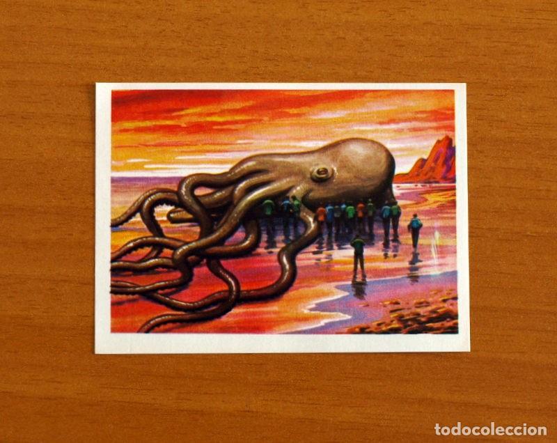 Coleccionismo Cromos antiguos: El M&aacute;s y el Menos -N&ordm; 29 Calamares Gigantes -Editorial Ruiz Romero A&ntilde;o 1975 -Cromo Nunca Pegado