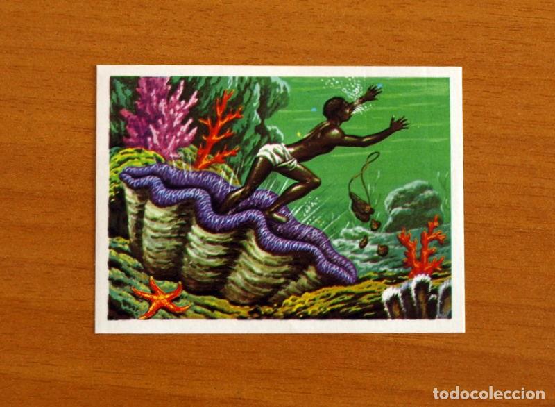 Coleccionismo Cromos antiguos: El M&aacute;s y el Menos -N&ordm; 31 Mayor Molusco -Editorial Ruiz Romero A&ntilde;o 1975 -Cromo Nunca Pegado