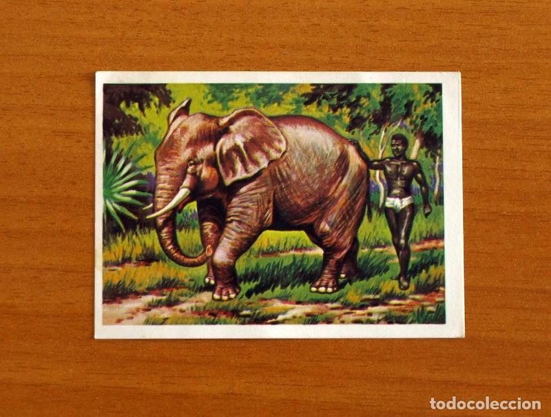 Coleccionismo Cromos antiguos: El M&aacute;s y el Menos -N&ordm; 47 Enano entre Gigantes -Editorial Ruiz Romero A&ntilde;o 1975 -Cromo Nunca Pegado