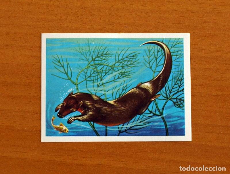 Coleccionismo Cromos antiguos: El M&aacute;s y el Menos -N&ordm; 56 Animal tiempos Remotos -Editorial Ruiz Romero A&ntilde;o 1975 -Cromo Nunca Pegado