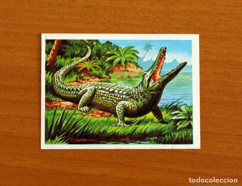 Coleccionismo Cromos antiguos: El M&aacute;s y el Menos -N&ordm; 59 Animal de larga Vida -Editorial Ruiz Romero A&ntilde;o 1975 -Cromo Nunca Pegado