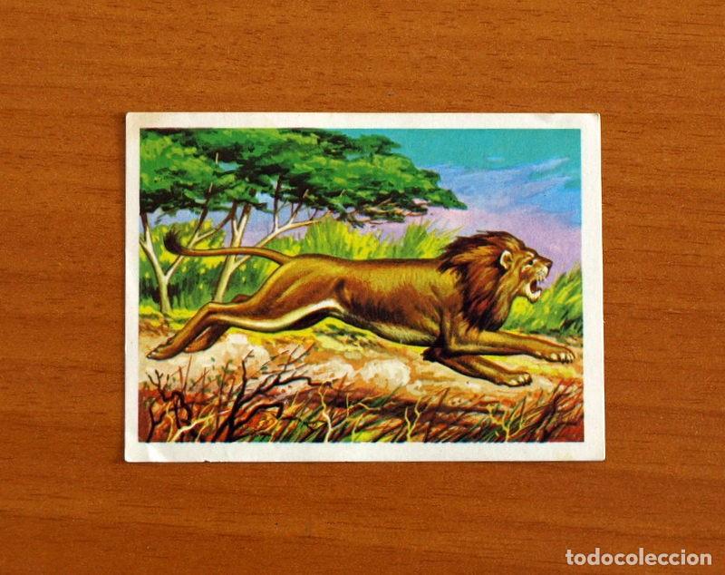 Coleccionismo Cromos antiguos: El M&aacute;s y el Menos -N&ordm; 62 Leon -Editorial Ruiz Romero A&ntilde;o 1975 -Cromo Nunca Pegado