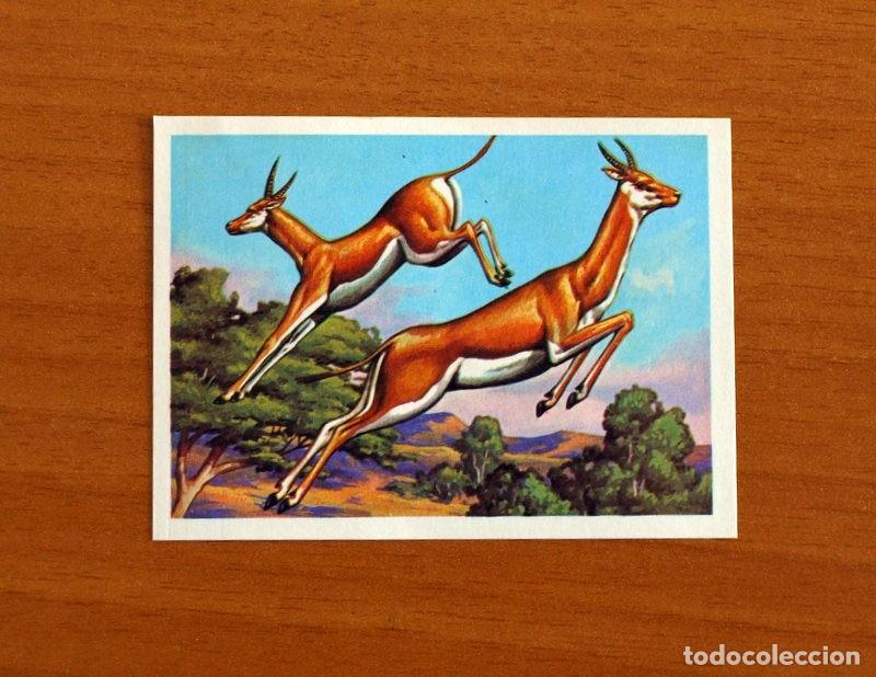 Coleccionismo Cromos antiguos: El M&aacute;s y el Menos -N&ordm; 68 Campeones de Altura -Editorial Ruiz Romero A&ntilde;o 1975 -Cromo Nunca Pegado