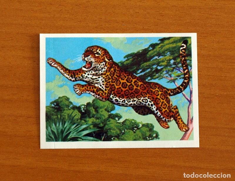 Coleccionismo Cromos antiguos: El M&aacute;s y el Menos -N&ordm; 68 Felino m&aacute;s &Aacute;gil -Editorial Ruiz Romero A&ntilde;o 1975 -Cromo Nunca Pegado