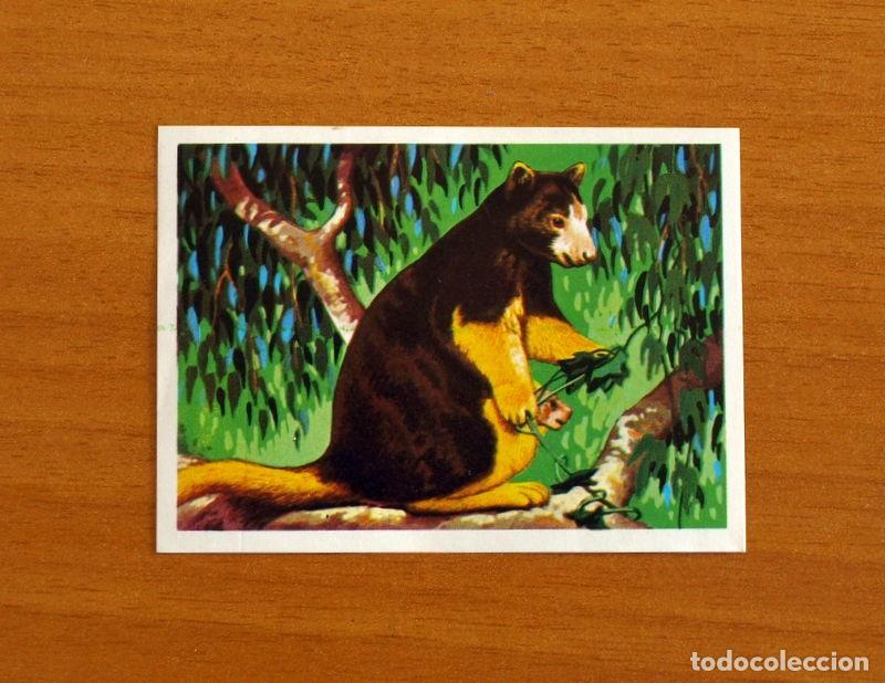 Coleccionismo Cromos antiguos: El M&aacute;s y el Menos -N&ordm; 71 Trepador muy Torpe -Editorial Ruiz Romero A&ntilde;o 1975 -Cromo Nunca Pegado