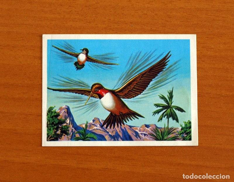 Coleccionismo Cromos antiguos: El M&aacute;s y el Menos - N&ordm; 87 Resistencia con Alas -Editorial Ruiz Romero A&ntilde;o 1975 -Cromo Nunca Pegado